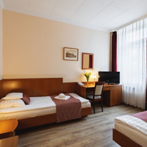 Camera twin classic twin