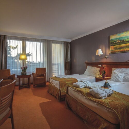 Superior Forest View Twin Room (extra bed available)