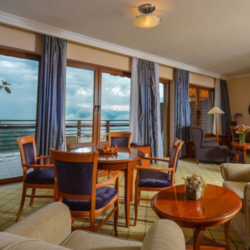 Deluxe View to the Danube 1-Room Suite for 2 Persons (extra beds available)
