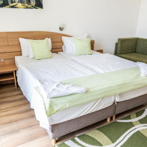 Camera twin superior cu panoramă (se poate solicita pat suplimentar)