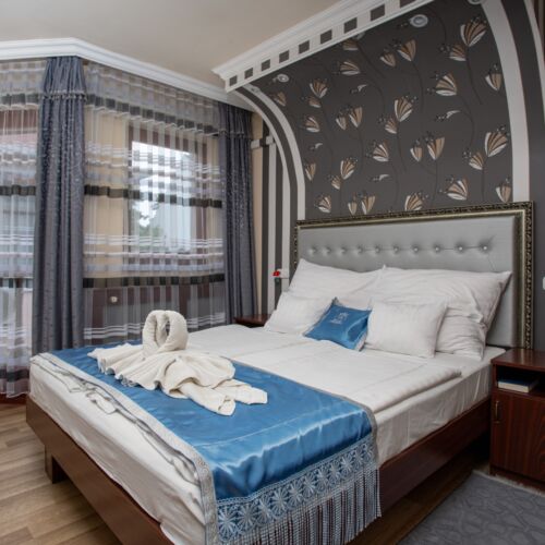 Camera twin standard