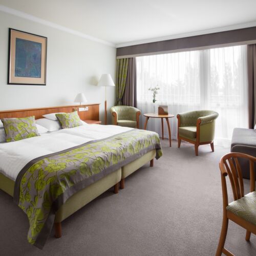 Superior Upstairs Twin Room