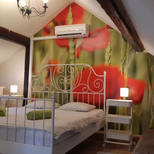 Whole House Family Summer House for 6 Persons