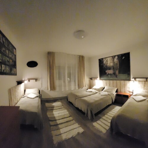 Casă de vacanță întreaga unitate cu grădină pentru 10 pers. (se inchirieaza doar integral)