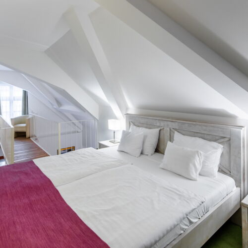 Apartament exclusive city cu 1 camera pentru 2 pers. (se poate solicita pat suplimentar)