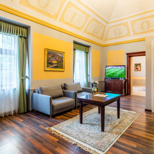 Suita castel cu 1 camera pentru 2 pers. (se poate solicita pat suplimentar)