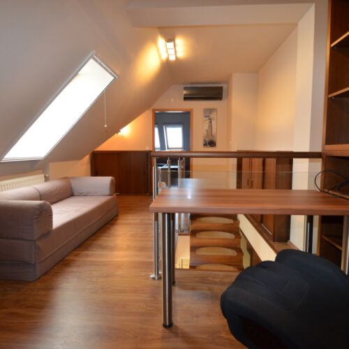 Apartament 2-osobowy Premia Penthouse z 1 pomieszczeniem sypialnianym