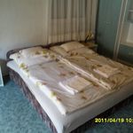 Mansard 1-Room Balcony Apartment for 2 Persons