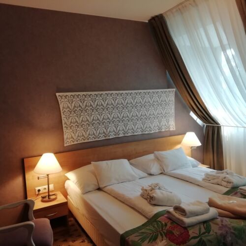 Camera twin standard