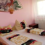 Komfort Erdgeschosses 2-Zimmer-Apartment für 4 Personen
