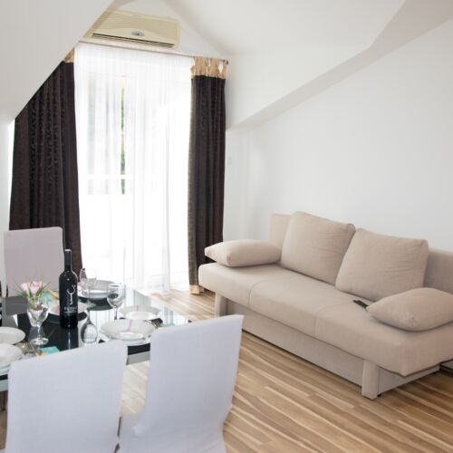 1-Room Apartment for 2 Persons (extra beds available)