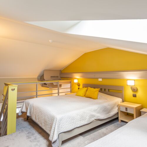 Standard Gallery Double Room (extra beds available)