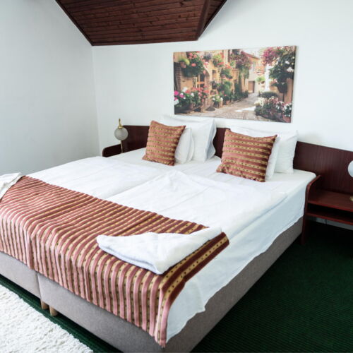 Camera twin standard (se poate solicita pat suplimentar)