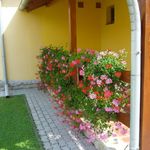 2-Room Apartment for 4 Persons with Garden "A" (extra bed available)