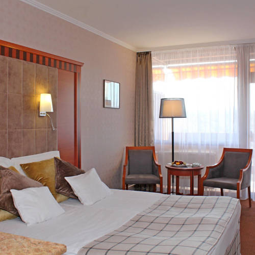 Standard Plus Forest View Twin Room (extra bed available)
