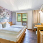 Standard Pokoj s manželskou postelí s výhledem na hory