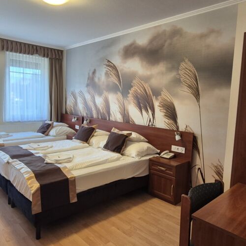 Standard Rodinný Pokoj pro 3 os.