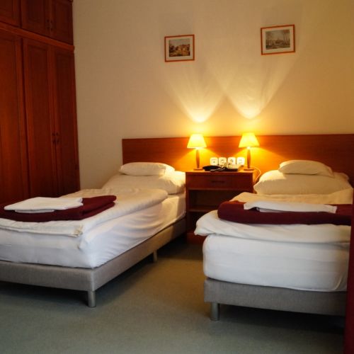 Camera twin cu terasă cu vedere spre parc (se poate solicita pat suplimentar)