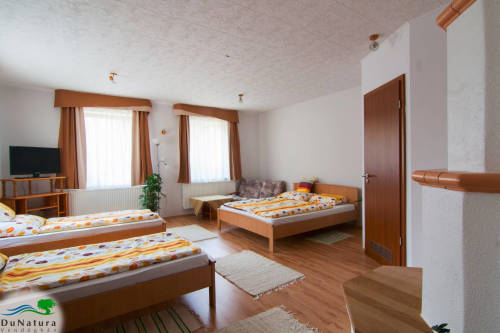 Pokój 4-osobowy na parterze Family