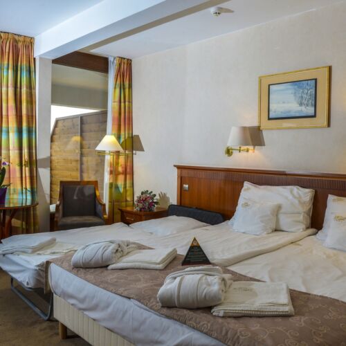 Superior View to the Danube Twin Room (extra bed available)