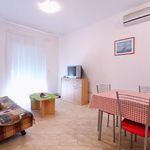 A1+2 2-Zimmer-Apartment für 4 Personen Parterre (Zusatzbett möglich)