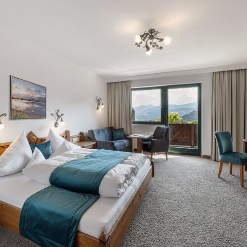 Camera dubla confort cu vedere spre grădină