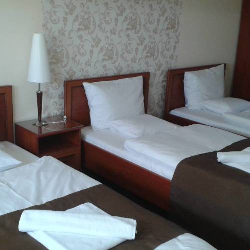 Camera tripla familial(ă) cu duș