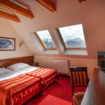 Standard Pokoj s manželskou postelí s výhledem na hory
