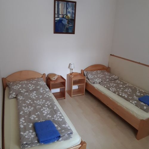 Camera twin cu baie accesibil(ă) persoanelor cu dizabilități