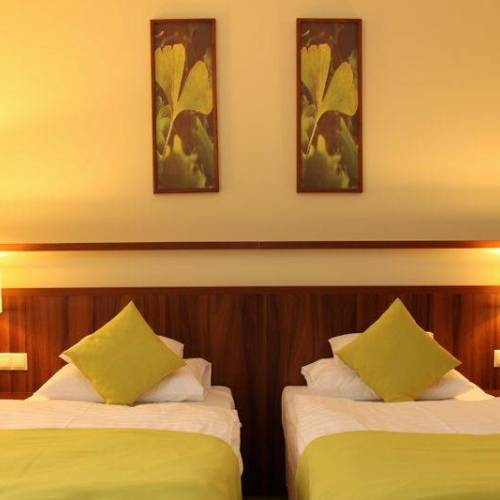 Classic Twin Room (extra bed available)