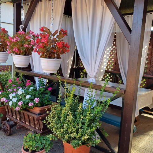 Apartament 6-osobowy cały dom udogodnienia dla niepełnosprawnych z 2 pomieszczeniami sypialnianymi