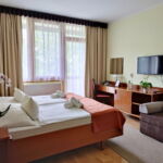 Standard 1-Zimmer-Apartment für 2 Personen mit Balkon (Zusatzbett möglich)