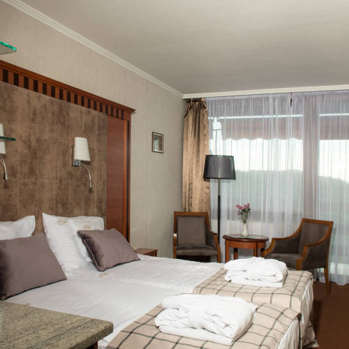Standard Plus View to the Danube Twin Room (extra bed available)
