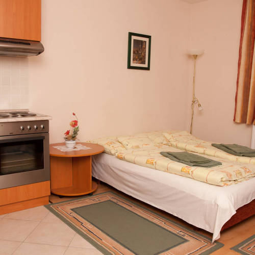 Apartament cu 1 camera pentru 2 pers.