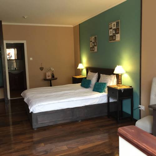 Apartament deluxe cu 1 camera pentru 2 pers. (se poate solicita pat suplimentar)