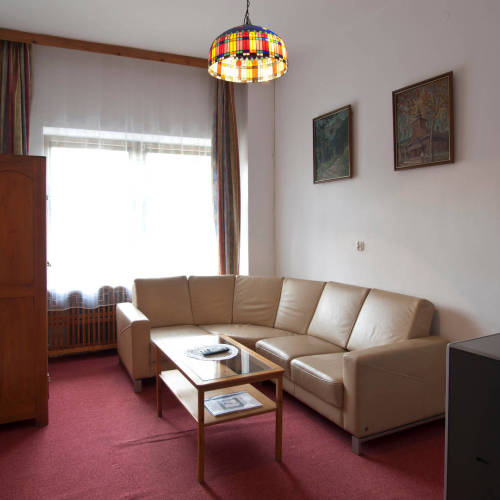 Apartament confort la parter cu 1 camera pentru 2 pers.