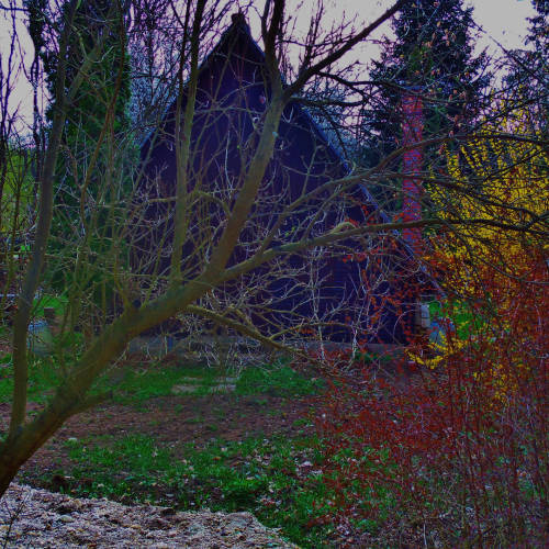 Forest View Chalet for 4 Persons