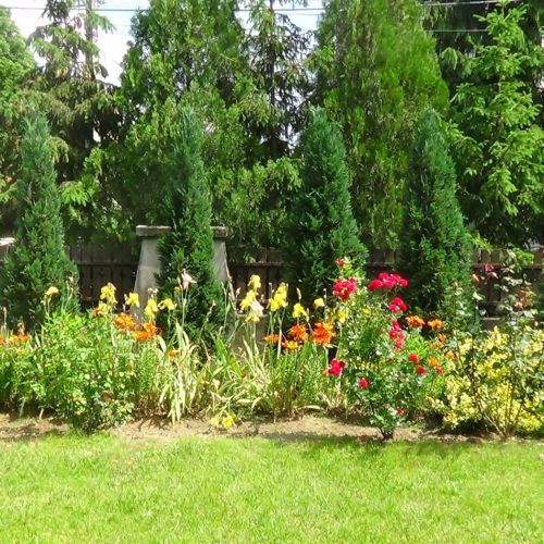 Camera cvadrupla economy cu balcon