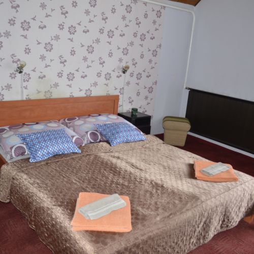 Standard Zweibettzimmer mit Aussicht auf den Garten