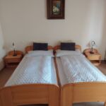 Pokoj s balkónem s manželskou postelí s panoramou (s možností přistýlky)