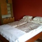 Comfort Whole House Farmhouse for 6 Persons (extra bed available)
