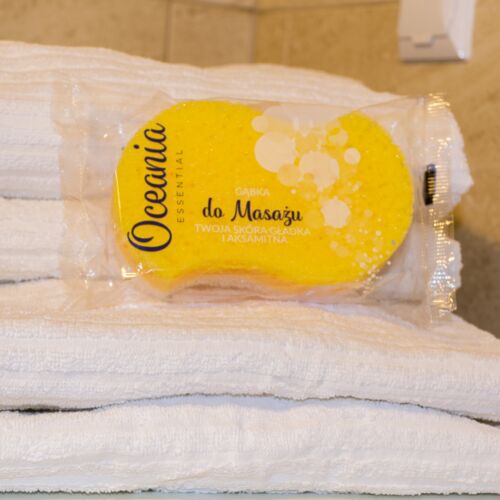 Apartament 4-osobowy Family z widokiem na miasto z 1 pomieszczeniem sypialnianym