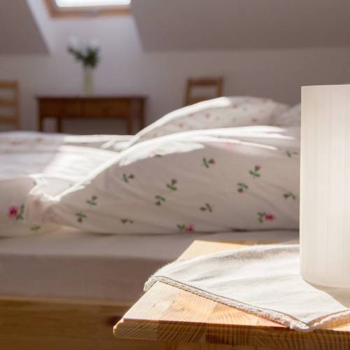 Superior Garden View 1-Room Apartment for 3 Persons (extra bed available)