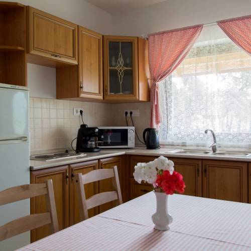 Superior Garden View 1-Room Apartment for 3 Persons (extra bed available)