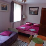 Ground Floor 1-Room Suite for 3 Persons with Kitchenette