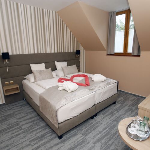 Camera twin mansardă standard