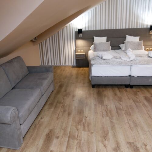 Camera standard family pentru 5 pers.