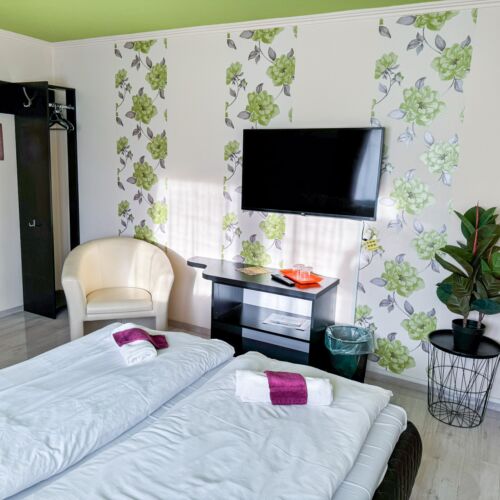 Vip Air Conditioned Double Room