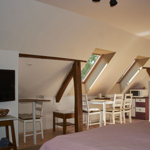 Apartament 3-osobowy na poddaszu na poddaszu z 1 pomieszczeniem sypialnianym