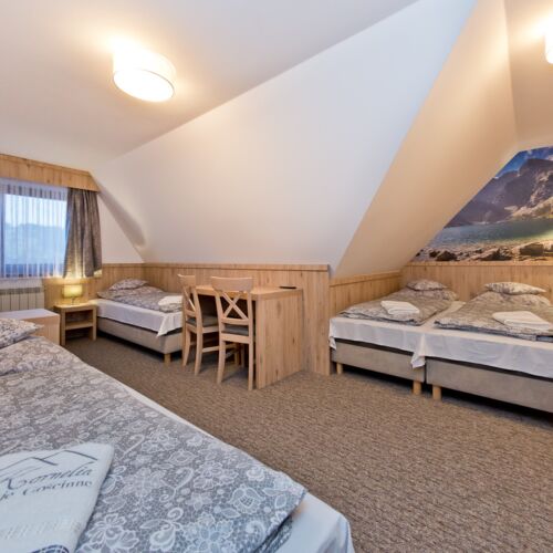 Family 5 Person Room with Shower (extra bed available)